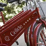 Celide Hotel Lucca