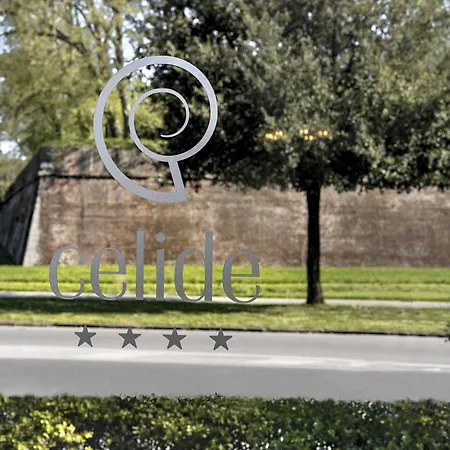Celide