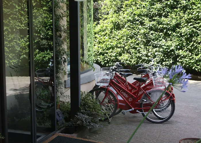 Celide Hotel 4*